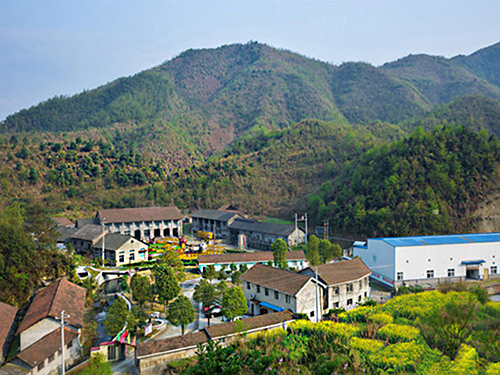 热烈祝贺乐动网正式上线！